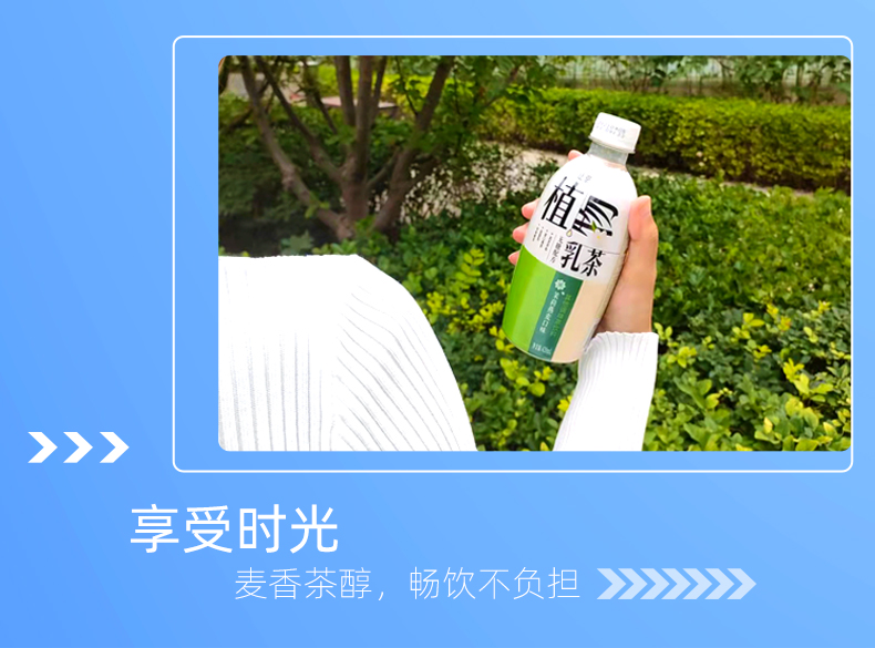 无糖低脂植物乳茶420ml*15