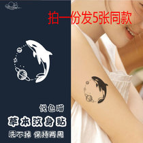 Small fresh planet Dolphin lockbone wristwrist juice tattoo with semi-waterproof woman persistent arm tattoo