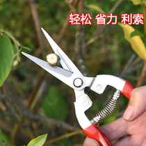 Pruning shears grapes fruit trees scissors rough branches flower scissors labor-saving branches gardening scissors