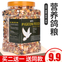 Nutritional pigeons pigeons pigeons pigeons pigeons pigeons corn peas grain birds food