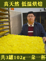 Special selection of chrysanthemum tea golden silk yellow chrysanthemum a cup of big chrysanthemum golden silk yellow chrysanthemum non tribute chrysanthemum hair 3 cans