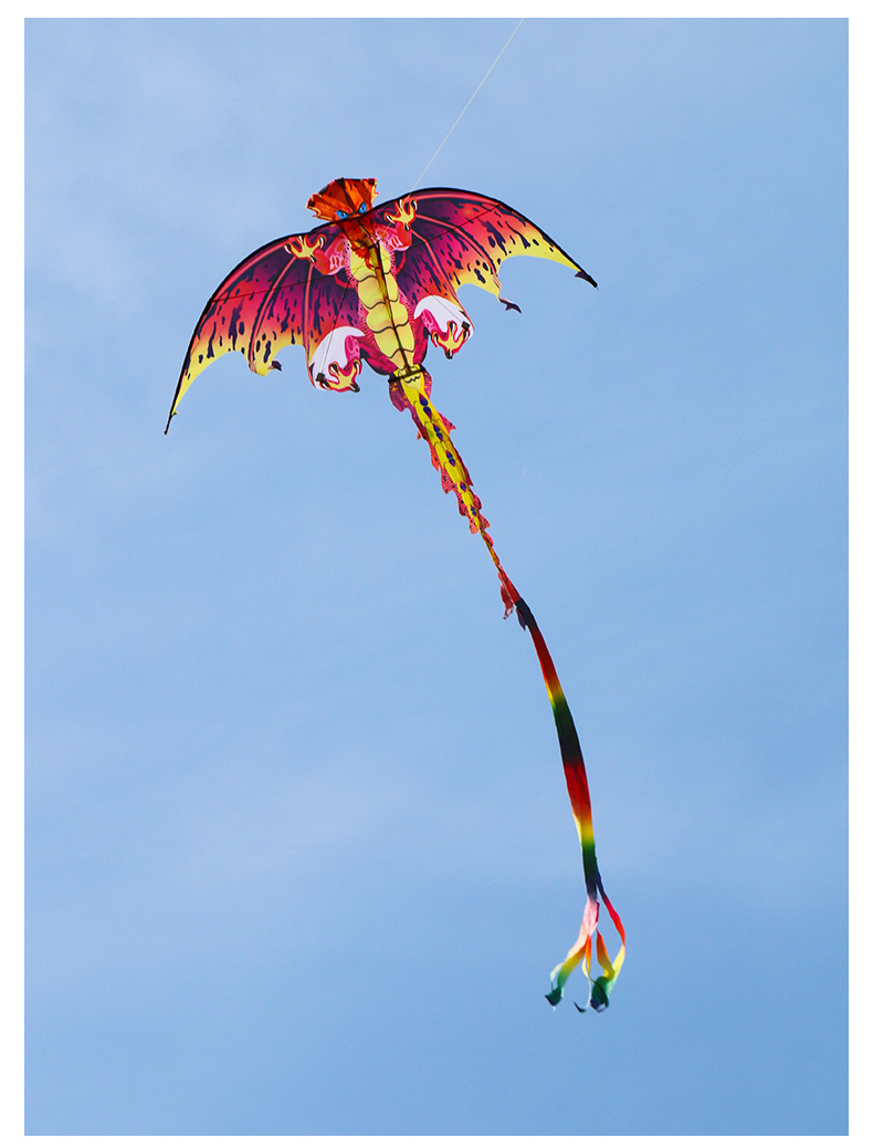 恐龙风筝大人专用大型翼龙儿童卡通微风易飞新手潍坊新款包邮