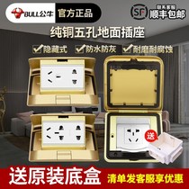 Bull Ground Socket Full Copper Waterproof Ground Socket Invisible Waterproof Ground Floor Socket Cover with concealed seat