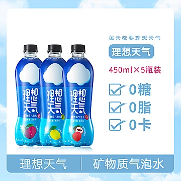 【理想天气】果味气泡水450ml*5瓶[10元优惠券]-寻折猪