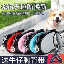 Dog automatic telescopic traction rope Teddy Koki Dog rope in large canine small dog chain walking dog traction rope
