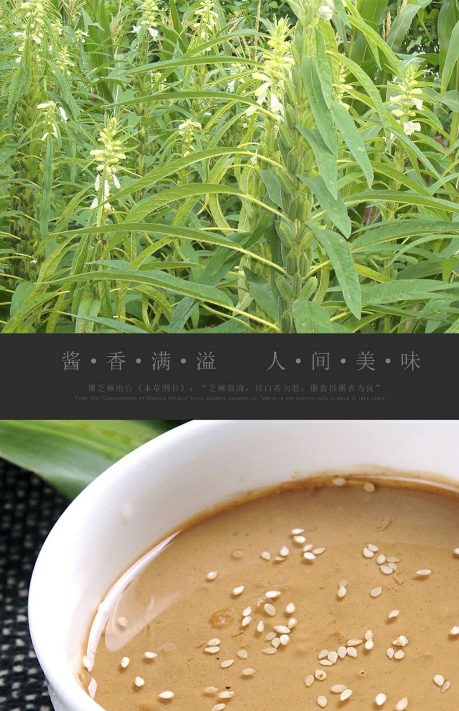 崔字牌纯芝麻酱家用正宗300g