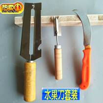 Plastic stainless cutlery fruit knife set banana knife steel pineapple knife cut leather rubber vegetable lettuce Peel