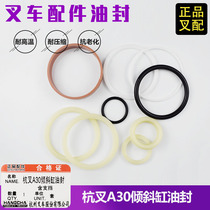 Forklift oil seal 30*40*7 3 Tilt cylinder oil seal 60*70*6 sealing rubber ring suitable for Hangcha A30 forklift