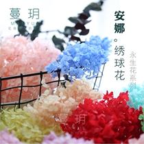 Man Yue Aroma Wax diy Material Flower Dried Flower Eternal Flower Series Anna Hydrangea Eternal Flower 1G