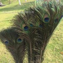 Various earring decorations wedding quality peacock feather headdress flower arrangements vases high-quality ornaments ornaments