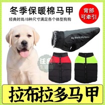 Labrador special belly protection dog cotton-padded clothes with traction back buckle waistcoat vest warm clothes medium-sized dog cold protection