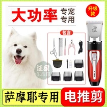 Samoye Private pooch Shaving Machine Pet Shop Electric Pushy Cut Electric Pushback High Power Professional Hair Theologie local
