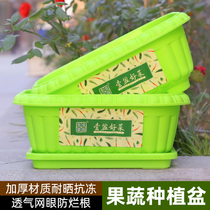 Balcony Species Vegetable Basin Flower Pot Plastic Indoor Vegetable Planting Case Thickening Plastic Extra-large With Trays Leek Basin Special