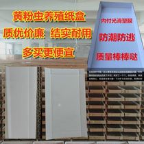 Tenebrio molitor breeding equipment Tenebrio molitor breadworm breeding carton thickened and hard carton with smooth plastic film feeding