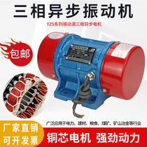 380V vibrating motor three-phase asynchronous vibrating dewatering screen vibrating platform feeder bin wall vibrator vibrating pump