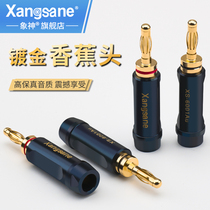 Xangsane elephant God pure copper gold-plated banana head sound wire plug speaker horn wire connector no welding