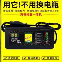 Electric vehicle battery cell repair activator electric car battery deficit electric repair machine instrument 48V60V72V charger