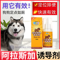 Special urine and urine dogs on special urinals in Alaska Pinpoint Defecation Inducers for Toilet Fluid Relieve pets GM