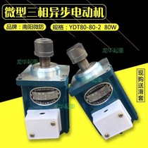 Nanyang micro-proof YDT80-80-2 80W brake pusher motor micro three-phase asynchronous motor