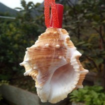 Conch Horn can blow fine natural super large shell whistle childrens toys loud snail can blow horn whistle