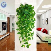 Creative Dining Room Wall Decoration Wall-mounted Simulation Green Plant Flower Pot Milk Tea Paving Wall Wall Iron Art Pendant