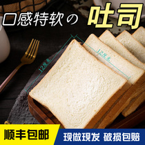 Sandwich Special Ingredients Ingredients Toast Toast Bread Breakfast Sliced Whole Wheat Commercial Ingredients Original Taste of Nutrition Restaurant