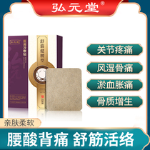 Hirometa Hall Medical Cold Compress Patch Shu Fascia Bodywaist Type Suitable for neck and shoulder waist leg pain synovitis tenosynovitis