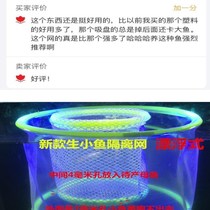 Fish breeding net peacock fish hatch box isolated box juvenile fish incubator