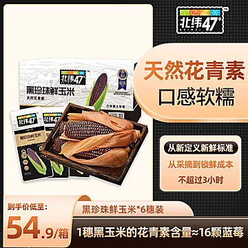 北纬47°东北黑珍珠糯玉米200g*6穗[10元优惠券]-寻折猪