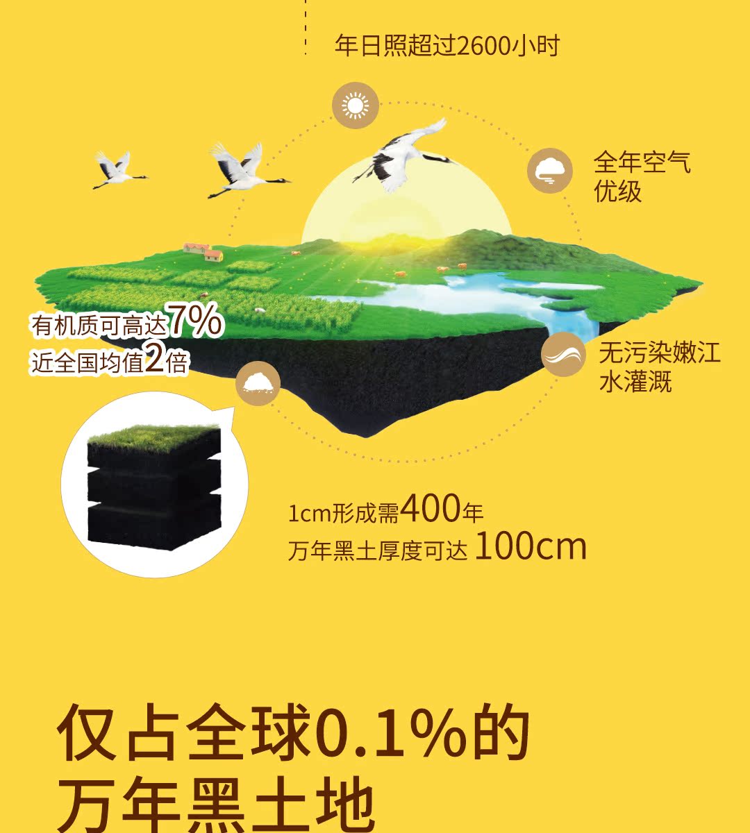 北纬47度鲜甜玉米200g*6