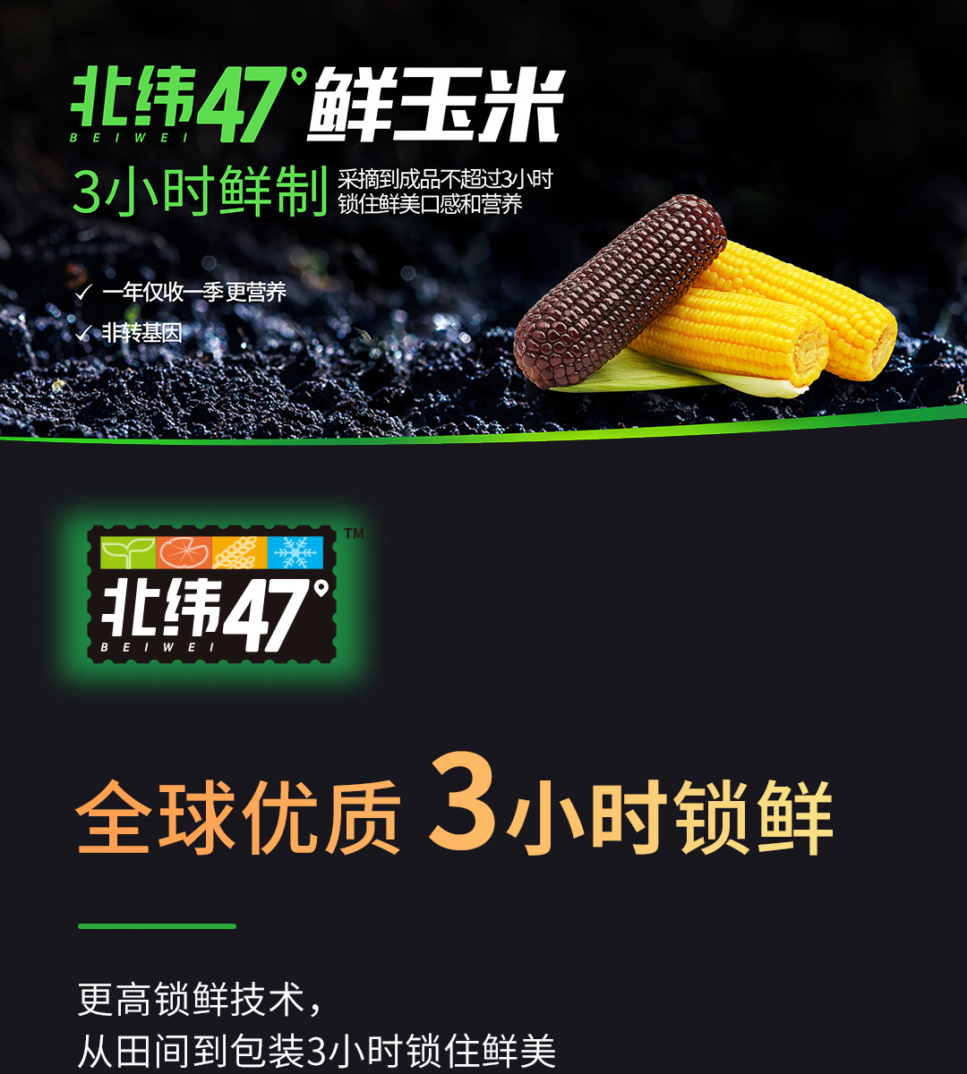 北纬47°东北黑珍珠糯玉米200g*6穗