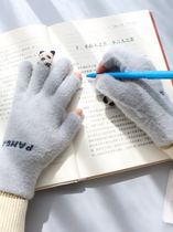 Junior high school students can type in a keyboard freehand secondary school students do the writing homework to be able to write the gloves Winter Women