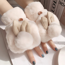 Warm Gloves Women Winter New Plus Suede Thickened Cat Paw Gloves Ins Cute Korean Version Student Bear Claw Plush