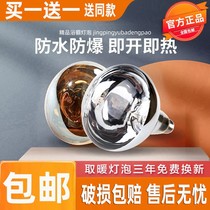 Outlet Quality Bath Bully Bulb 275W Home Toilet Bulb Middle 40w Floodlight 3w Infrared Heating