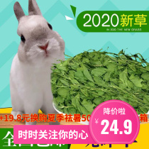 Alfalfa Hay Feed Young Rabbit Holland Dragon Dragon Dragon Rabbit Food and Rabbit Food and Club