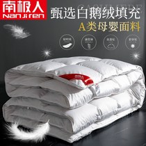 Antarctic down is thickened to keep warm winter core 95 White Velvet Hotel single duckwool is cotton swung by spring and autumn quilt