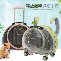 Cat outsources portable pet pull box cat transparent capsule dog suitcase cat shoulder backpack winter
