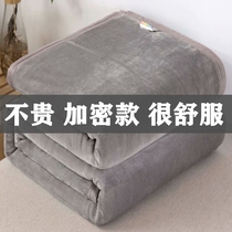Blanket thickened and velvet warm winter golden mink velvet towel blanket bedroom bed blanket winter quilt sheets