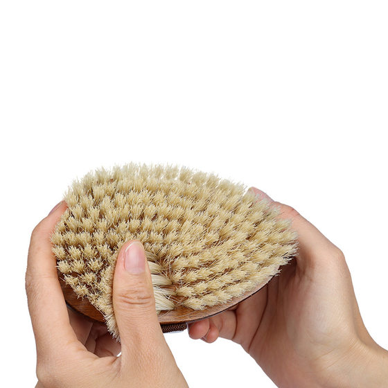Pet bath massage brush Cat cleaning bath brush Solid wood pig hair dog beauty brush Pet supplies
Pet bath massage brush Cat cleaning bath brush Solid wood pig hair dog beauty brush Pet supplies