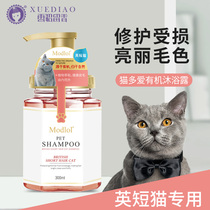 Ferret cat mummy shower blue cat English short Blue and white pet bathing liquid balsamic shampoo for young cat special supplies