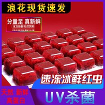 Frozen red blood worm fish food frozen red worm plate rich year shrimp beef heart burger red worm red nematode feed goldfish fish worm