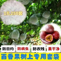 Fruit Anti-Insect Protection Bag Thyme Special Anti-Bug Bag Breathable Film Bag Set Thyme Pomegranate Protective Sheath