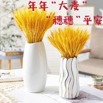 Natural Gold Wheat Ears Dry Flower Bouquet Golden Barley Field Garden Decoration Vase Pendulum with Prop Dried Flowers