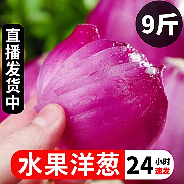 新鲜现挖洋葱圆葱新鲜蔬菜2斤[5元优惠券]-寻折猪