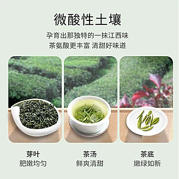 林恩春蕾高山云雾绿茶罐装200g[20元优惠券]-寻折猪