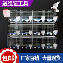 Pigeon supplies large cage pigeon cage cage for pigeon cage large-scale breeding cage pairing cage