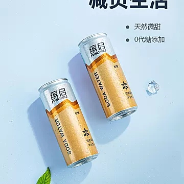 缤启蜂蜜薄荷水气泡饮料310ml*6罐[20元优惠券]-寻折猪