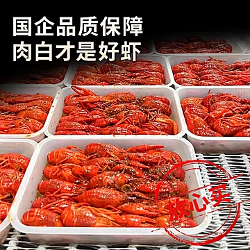【加热即食】楚江红湖北潜江油焖小龙虾[50元优惠券]-寻折猪
