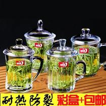 Cup large cup of cup with glass green leaves for single - layer tea cup with tea room tea separation