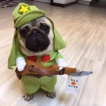 Dog Ying Pet Changing Funny Up Dog Cat Clothes Cute Bago Beer Teddy Dog